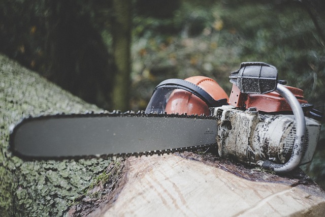 chainsaw resting on a log
