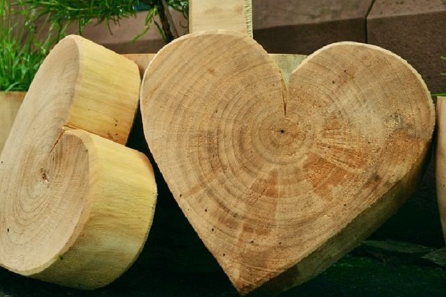 two smooth wood heart carvings